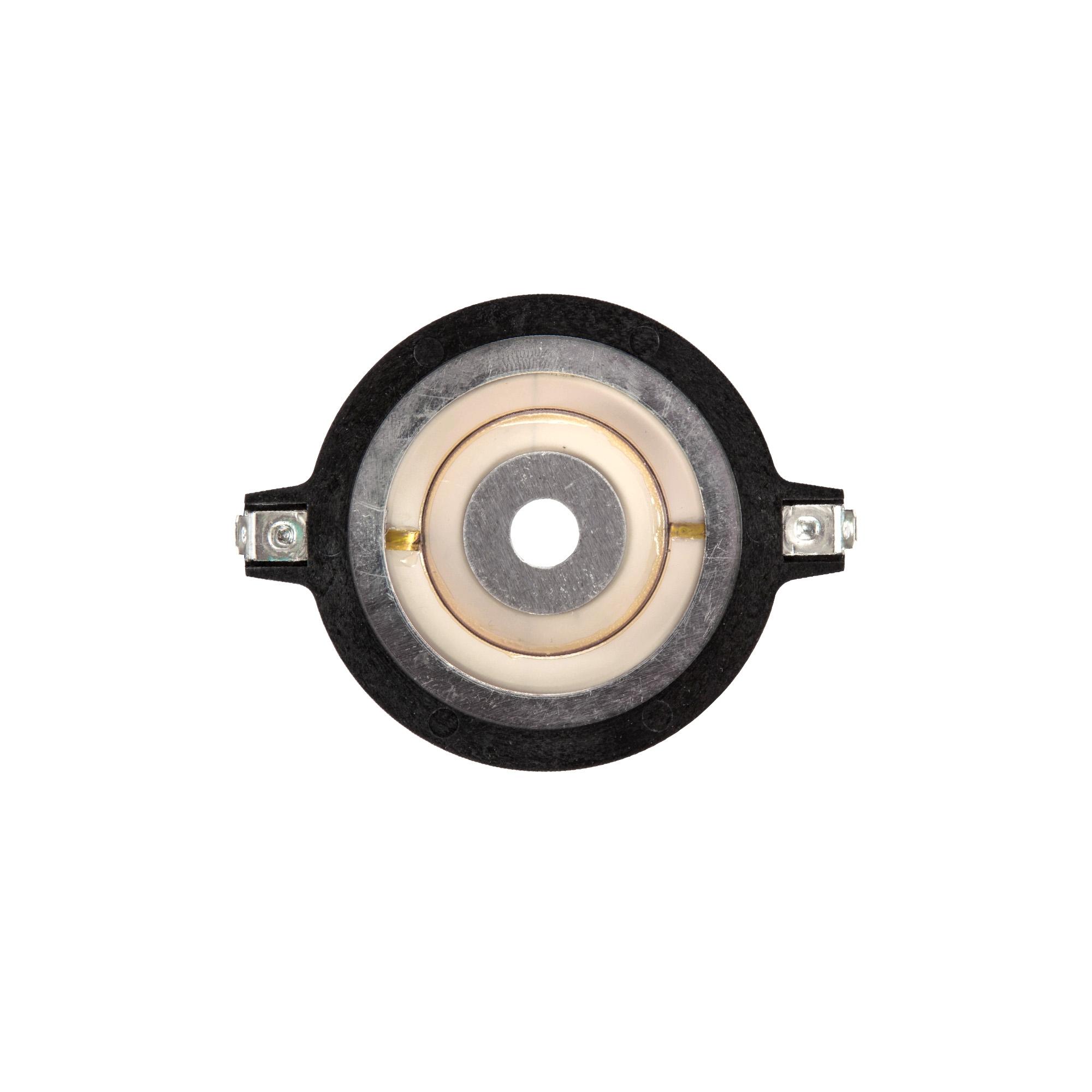 Remcom Headshot TW1