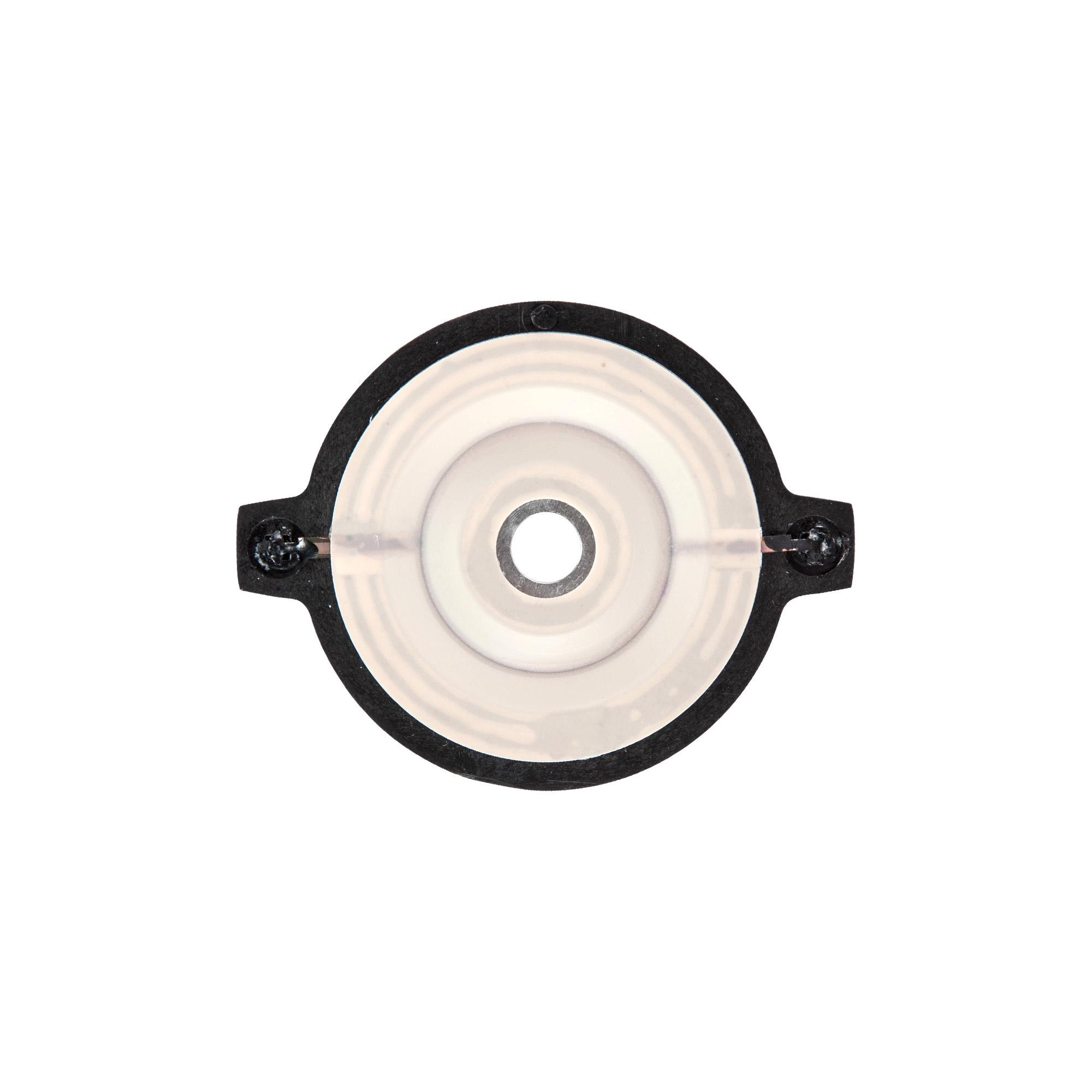Remcom Headshot TW1