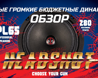 Обзор прослушка. Бюджетные громкие эстрадные динамики HEADSHOT DPL65