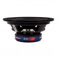 Headshot DPL65