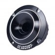 Headshot F36