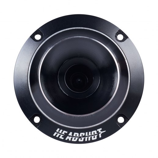 Headshot F36
